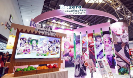 动漫展,一场视觉与情感的狂欢之旅